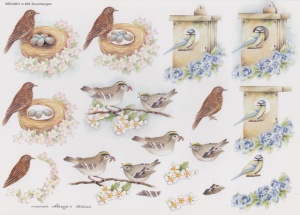 Wekabo vogels 684 (Locatie: 2608)