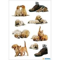 Herma stickers hondenwelpen 3 vel 5606 (Locatie HE012)
