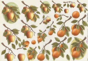 Mireille knipvel fruit E176 (Locatie: 2867)