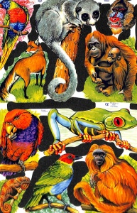 Poezieplaatje Dieren MLP1602 (Locatie: MP050)