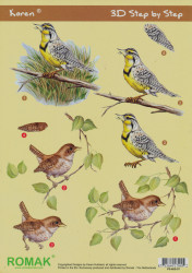 Romak knipvel vogels P0-600-07 (Locatie: 0812)
