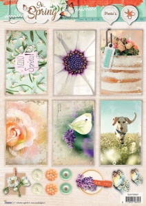 So Spring Foto Stansvel Lente EASYSS601 (Locatie: 934)