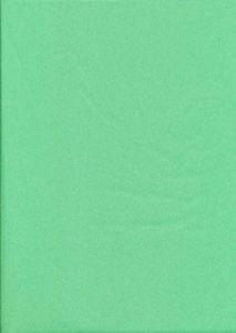 Tissuepapier lichtgroen 50 x 70 cm per vel