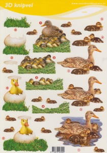 Voorbeeldkaarten knipvel vogels 2399 (Locatie: 1160)