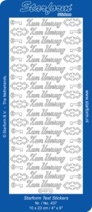 Starform sticker goud Zum Umzug 437 (Locatie: F172)