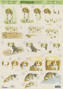 Studio Light knipvel honden MIH044 (Locatie: 2501)