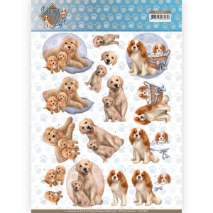 Amy Design knipvel honden CD11367 (Locatie: 1546)