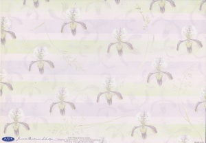 Janneke Brinkman-Salentijn decoratiepapier JBSBASIS03 (Locatie: 2618)