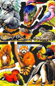 Poezieplaatje Dieren MLP1603 (Locatie: MP047)