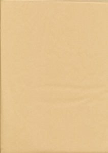 Tissuepapier lichtbruin 50 x 70 cm per vel