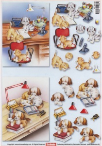 Knipvel honden en katten 46440 (Locatie: 4413)