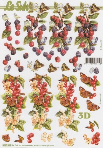 Le Suh knipvel fruit 8215312 (Locatie: 1742)