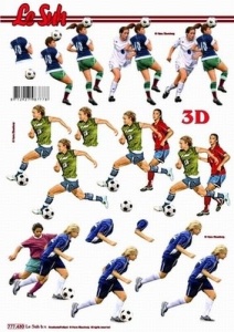 Le Suh knipvel voetbal 777435 (Locatie: 6659)