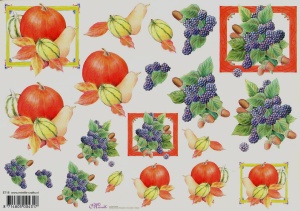 Mireille knipvel fruit E718 (Locatie: 2383)