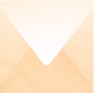 Regenboogenvelop lichtbruin 14x14 cm (Locatie: k3)