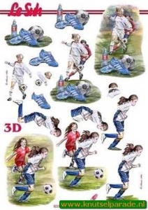 Le Suh knipvel voetbal 8215336 (Locatie: 6426)