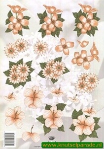 Tierelantijntje knipvel bloemen 2312 (Locatie: 4721)