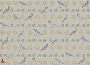 Vellum vogels nr. VELLUMNS02 (Locatie: 0602)