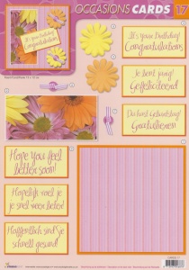 Studio Light Cards gefeliciteerd nr. 17 (Locatie: 4513)