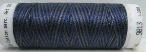Amann Mettler Silk finish multi 100 meter 9813