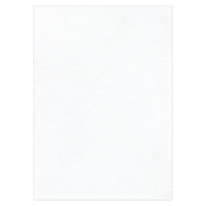 Card Deco karton wit, A4 (Locatie: 1580)