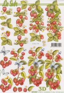 Le Suh knipvel fruit 8215302 (Locatie: 2630)