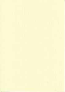 Papicolor fantasie papier groen 212723 (Locatie: 6537)