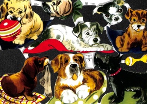 Poezieplaatje Honden MLP1608 (Locatie: MP058)