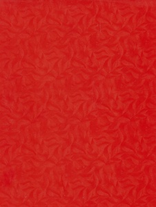 Rood karton met motief, A4 (Locatie: 0413)