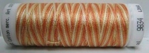 Amann Mettler Silk finish multi 100 meter 9834