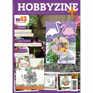 HobbyZine Plus nr. 43 juli-aug 2021 HZ02104