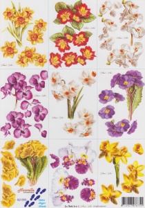 Le Suh knipvel bloemen nr. 821593 (Locatie: 1532)