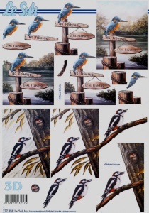 Le Suh knipvel vogels 777494 (Locatie: 2909)