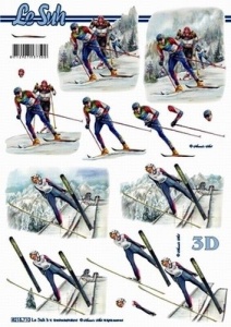 Le Suh knipvel wintersporten langlaufen 8215710 (Locatie: 0405)