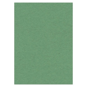 Card Deco karton A4 groen (Locatie: 0353)