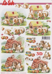 Le Suh knipvel cavia 8215523 (Locatie: 5567)