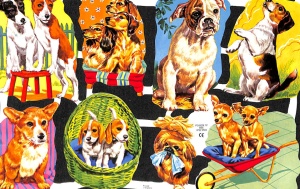 Poezieplaatje Honden MLP1545 (Locatie: MP056)