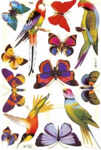 Poezieplaatjes Vogels en Vlinders 41601960 (Locatie: MP091)
