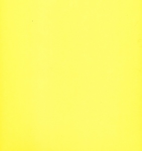Top Hobby scrapbook karton 30,5x30,5 cm. narcisgeel