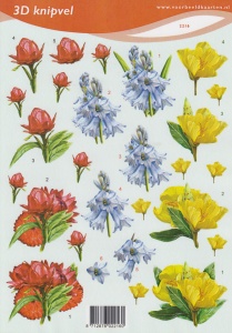 Voorbeeldkaarten knipvel bloemen 2216 (Locatie: 1561)