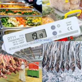 Termometru digital de precizie  DT11 cu sonda inox