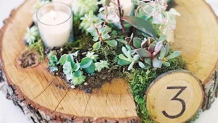 Tendinte 2017 - Decor cu felii de lemn Tendinte 2017 - Decor cu felii de lemn