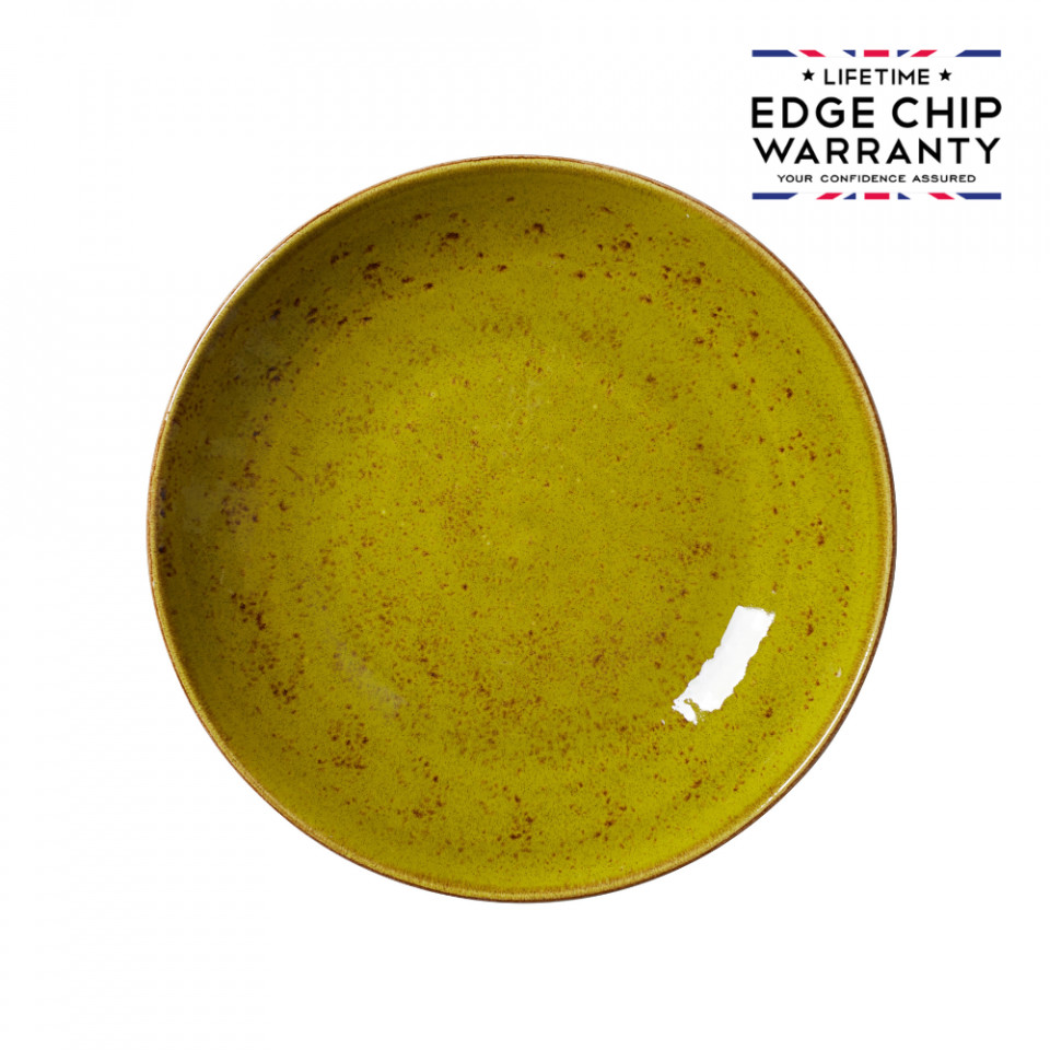 Bol coupe Apple Steelite Craft 25.5cm 12110569 - 1