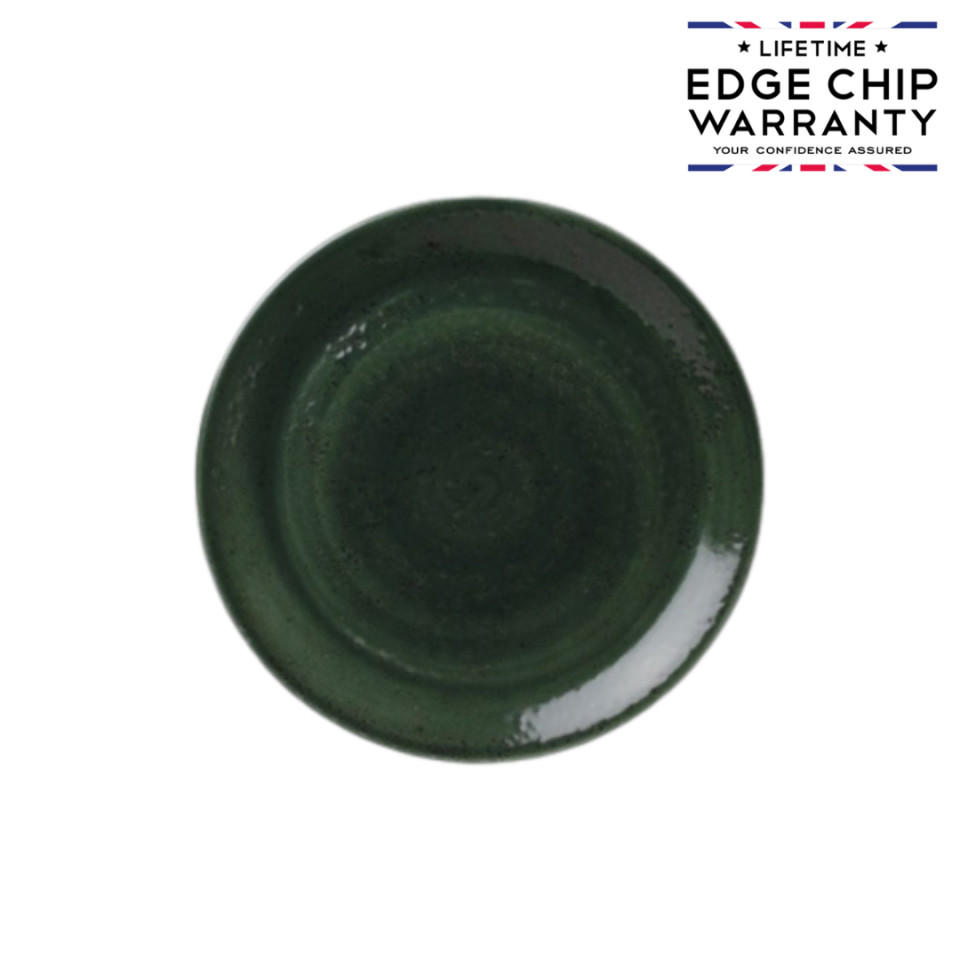Bol coupe Burnt Emerald Steelite Aurora Vesuvius 20.25cm 12030567 - 1