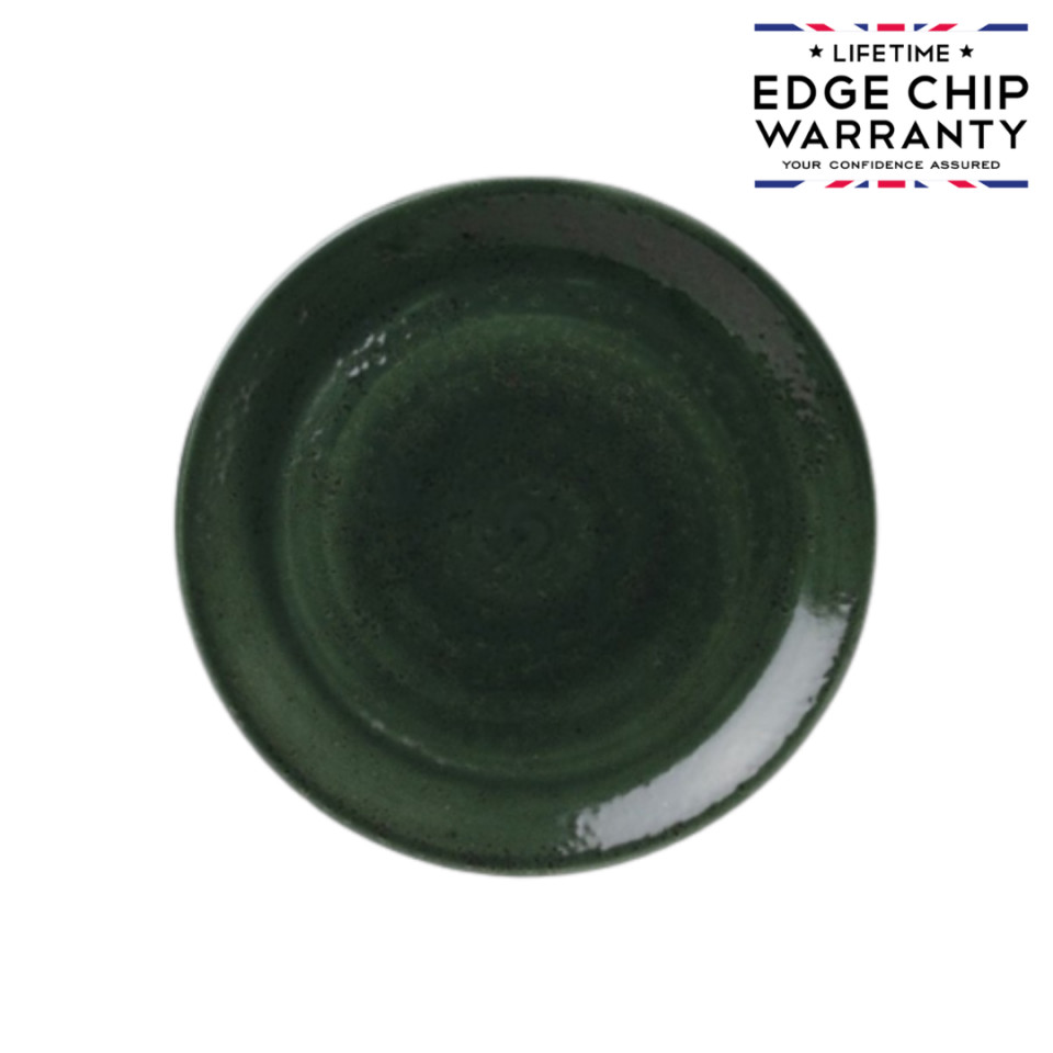Bol coupe Burnt Emerald Steelite Aurora Vesuvius 25.25cm 12030566 - 1