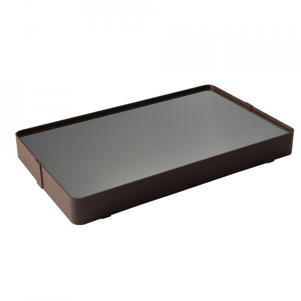 Placa termica cooler bufet rece Abert 29x48cm V333254016 - 1
