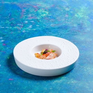 Farfurie aperitiv rotunda Mineral 24cm 21123216
