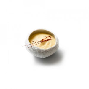 Mini Sea Urchin gloss/matt 6cm V0122-0056
