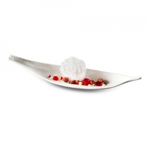 Frunza bontanique gloss/matt V0122-0100