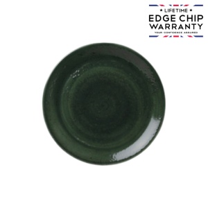 Bol coupe Burnt Emerald Steelite Aurora Vesuvius 20.25cm 12030567